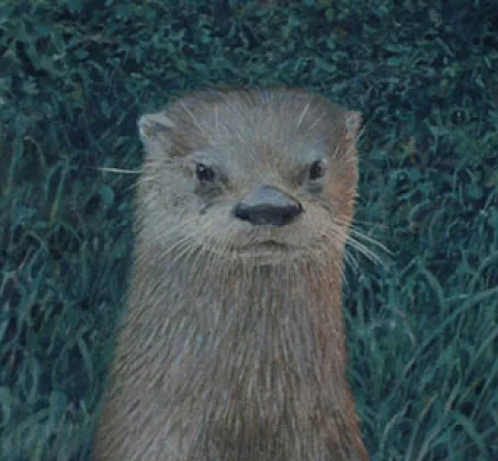 Otter.jpg