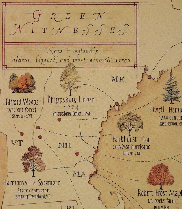 Here is another example of a picture map is the style of Dugald Stermer