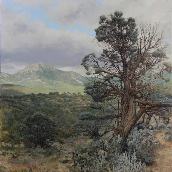 Lamborn in Summer 24’ x24” Oil on Panel