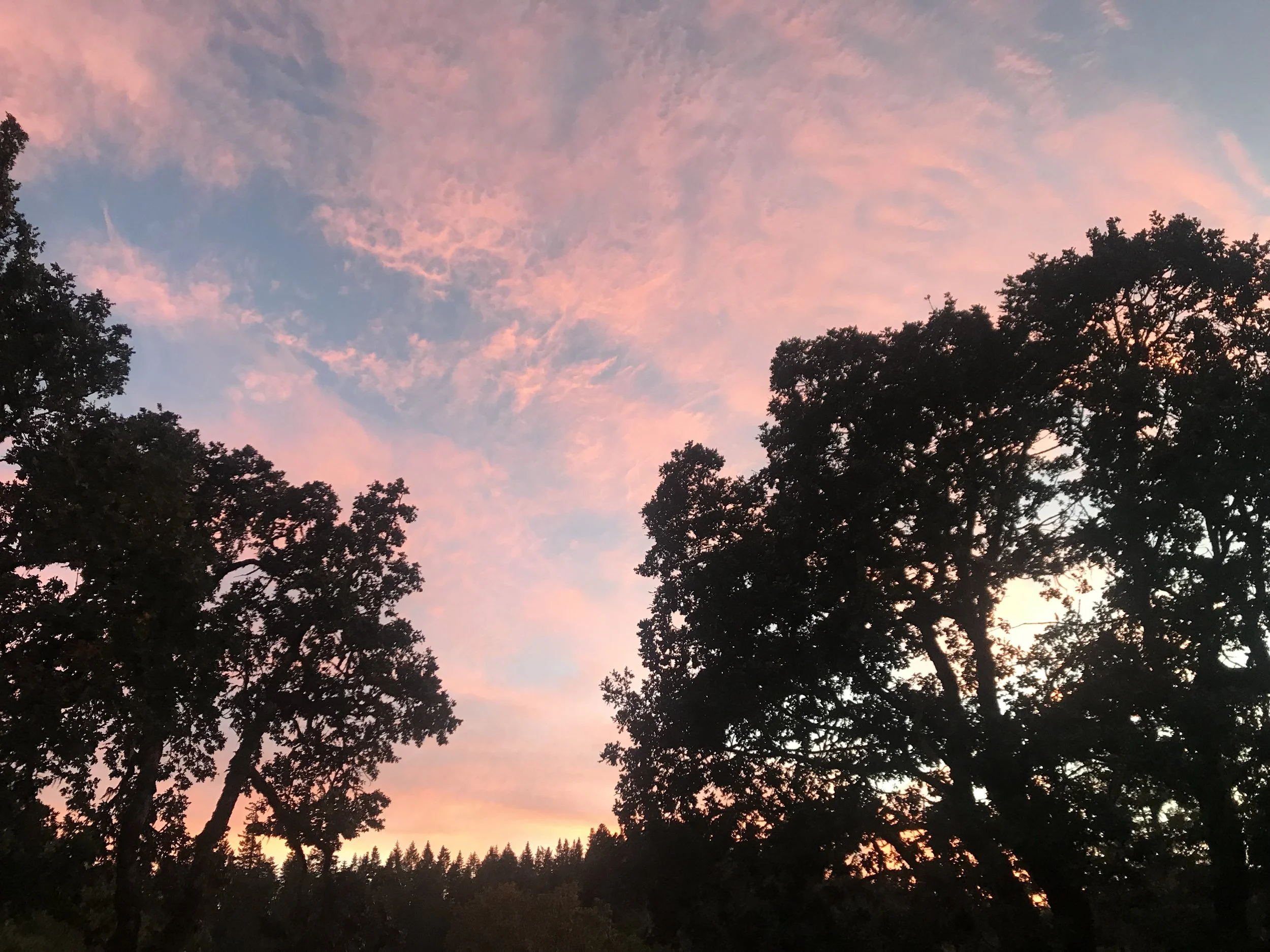 The Seichim Center in the woods north of Corvallis is a place of healing, with classes and workshops offered monthly.