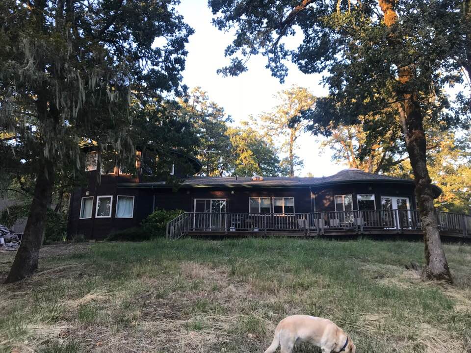 Seichim Center and Molly the dog
