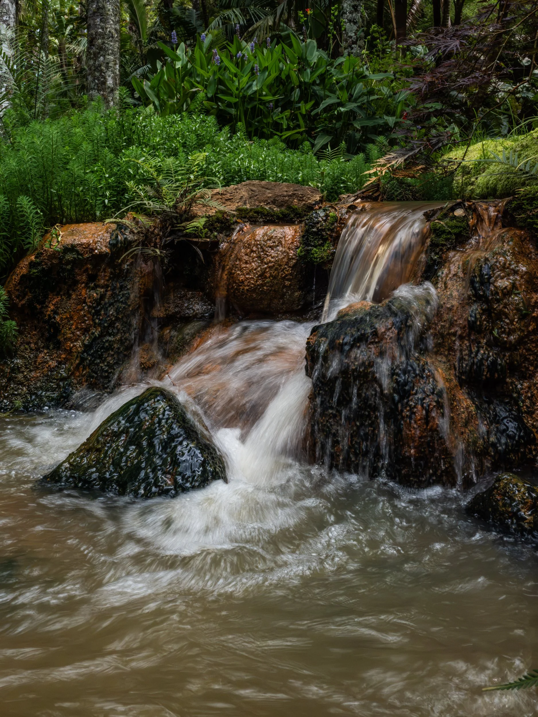  zahrady s termálními lázněmi (Parque Terra Nostra) 