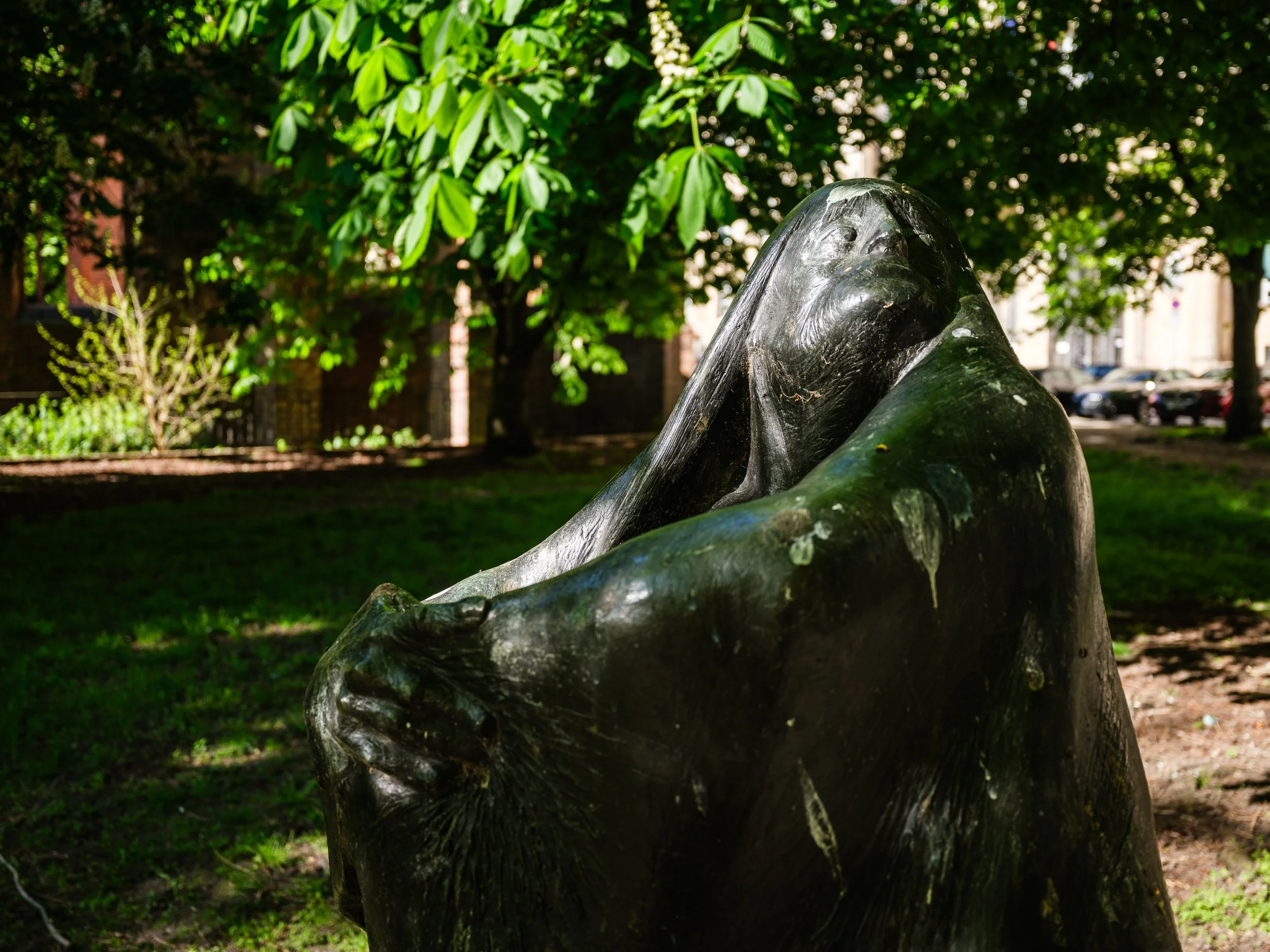 DSCF9914.jpg