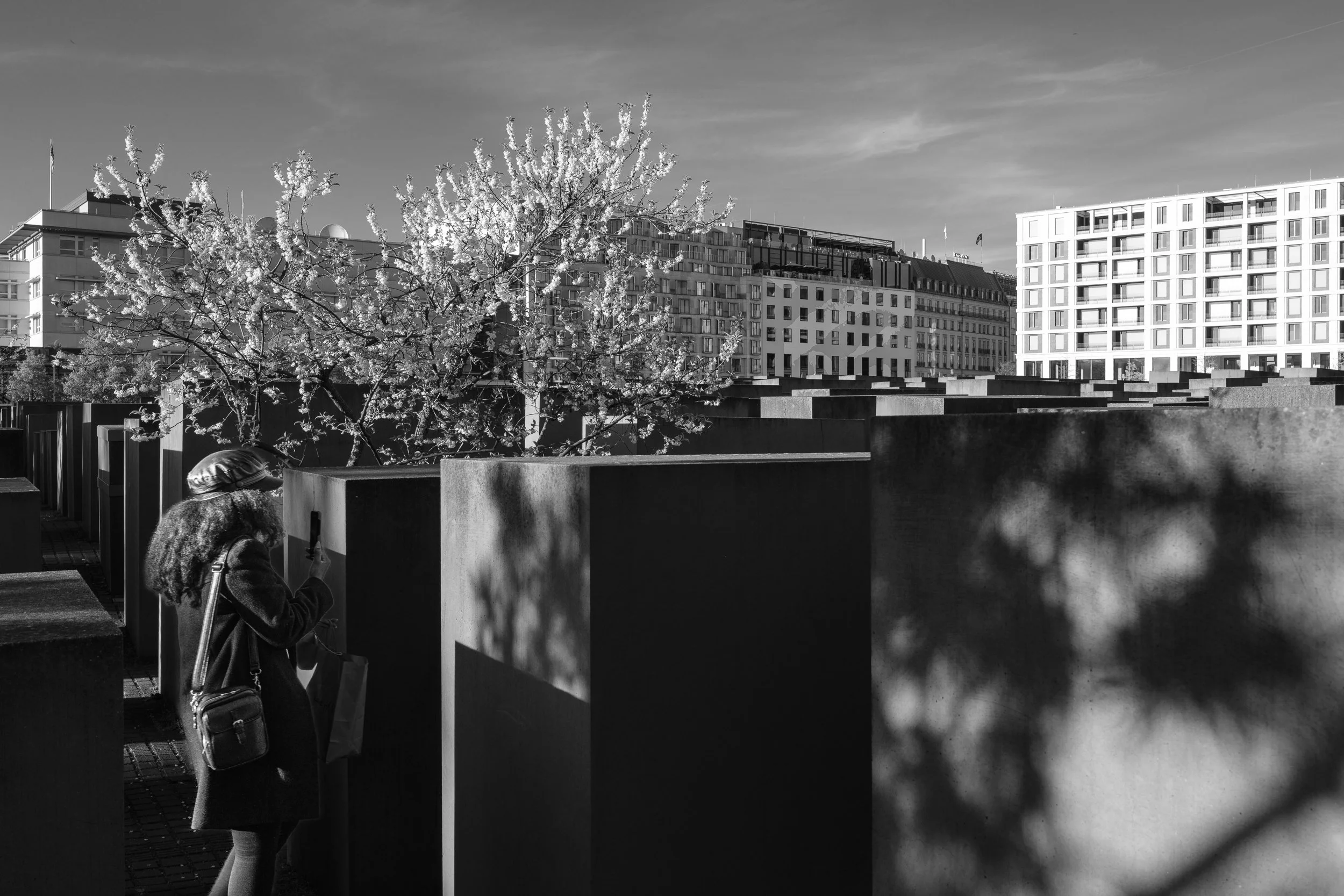  Památník zavražděných Židů Evropy (Denkmal für die ermordten Juden Europas) 