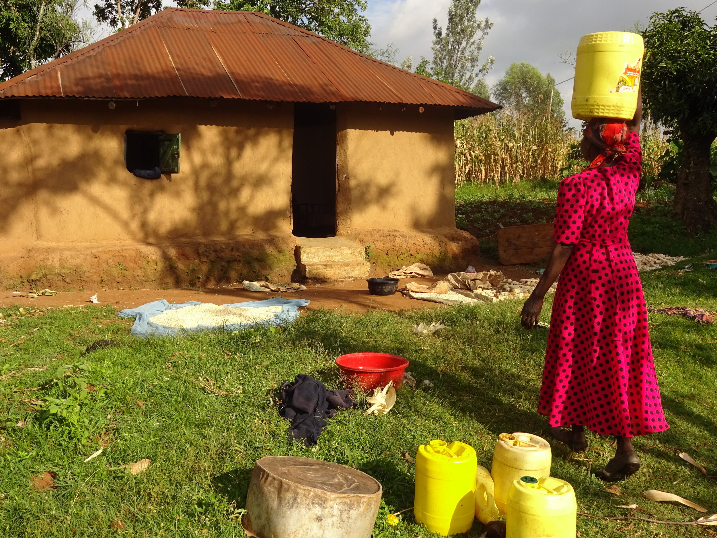 A woman walks with a 20L yellow bucket of water on her head toward a house, made of mud with a corrugated iron roof