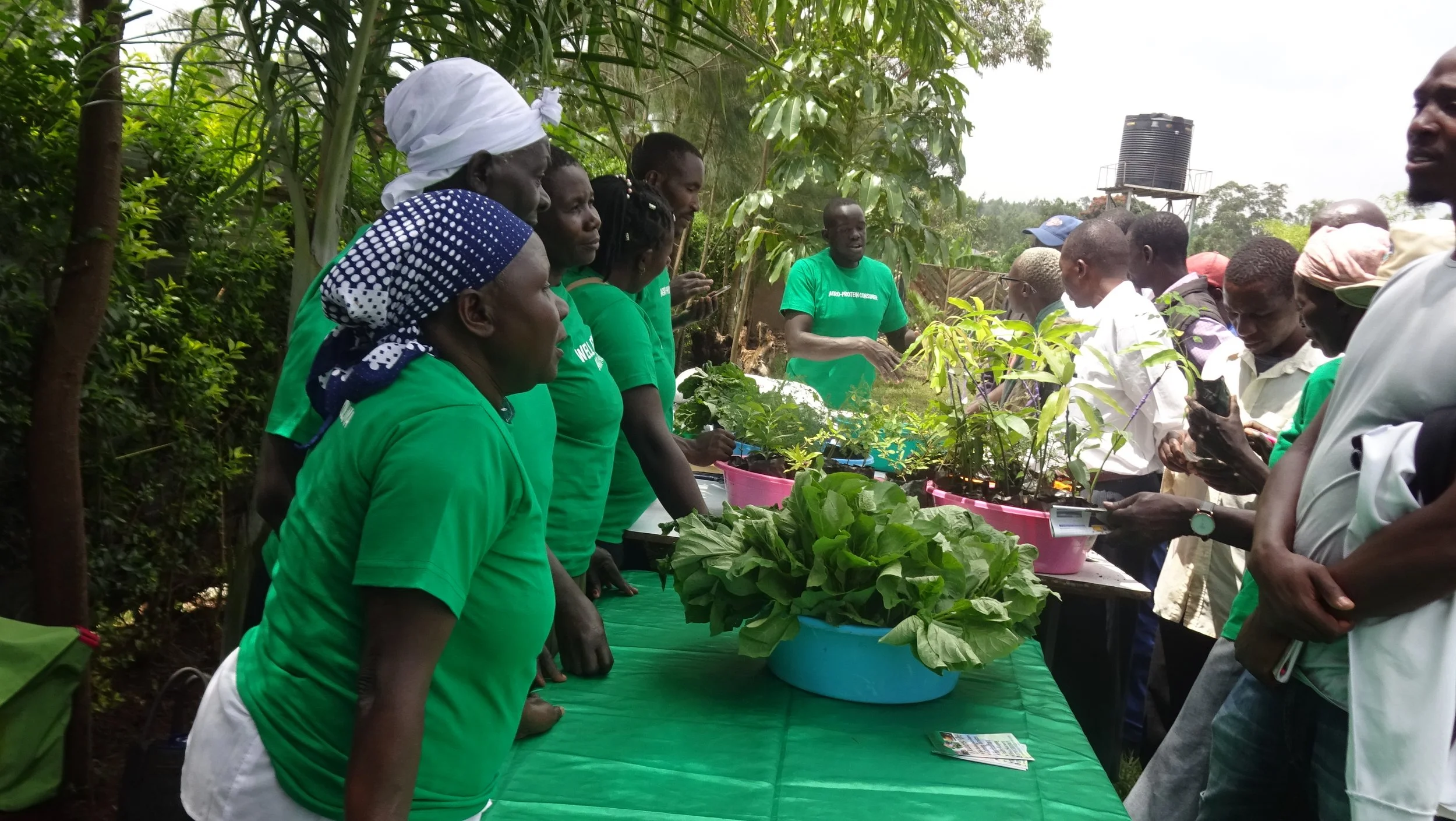 Field day selling seedlings and vegies.JPG