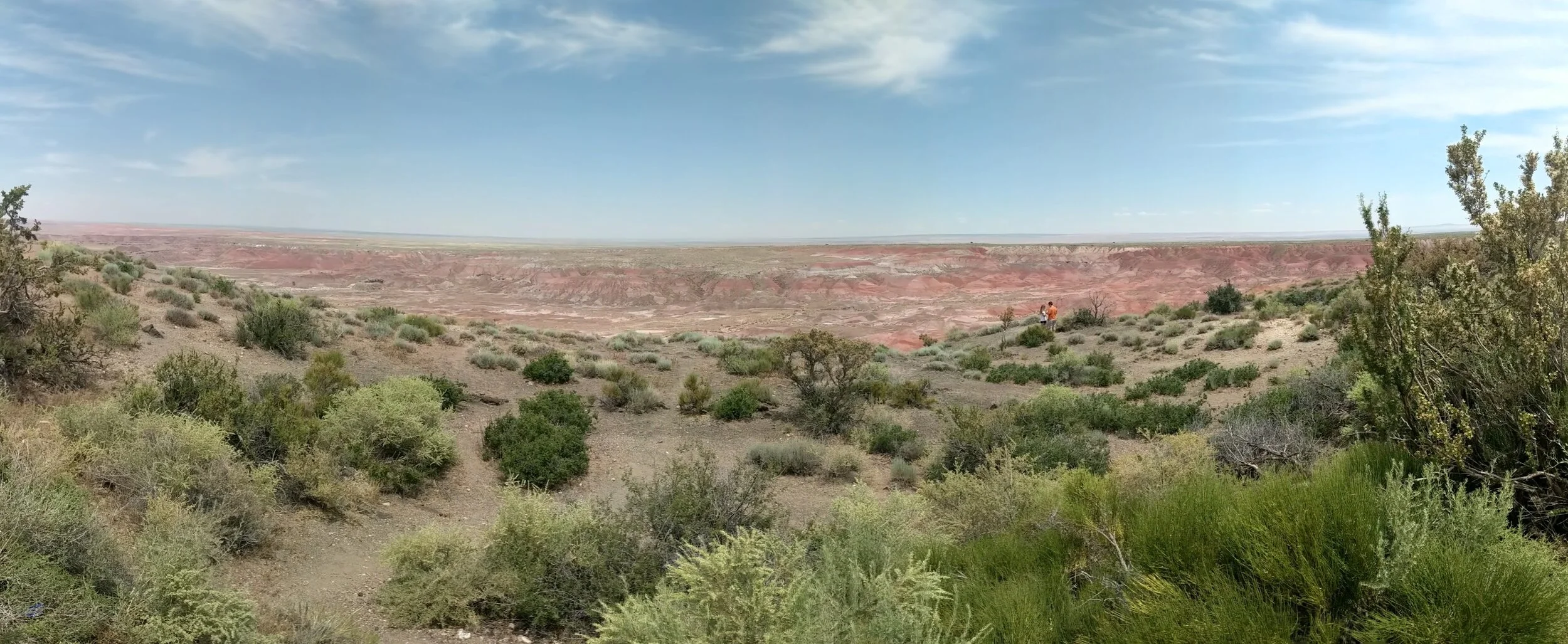 PANO_20190625_134041.vr.jpg