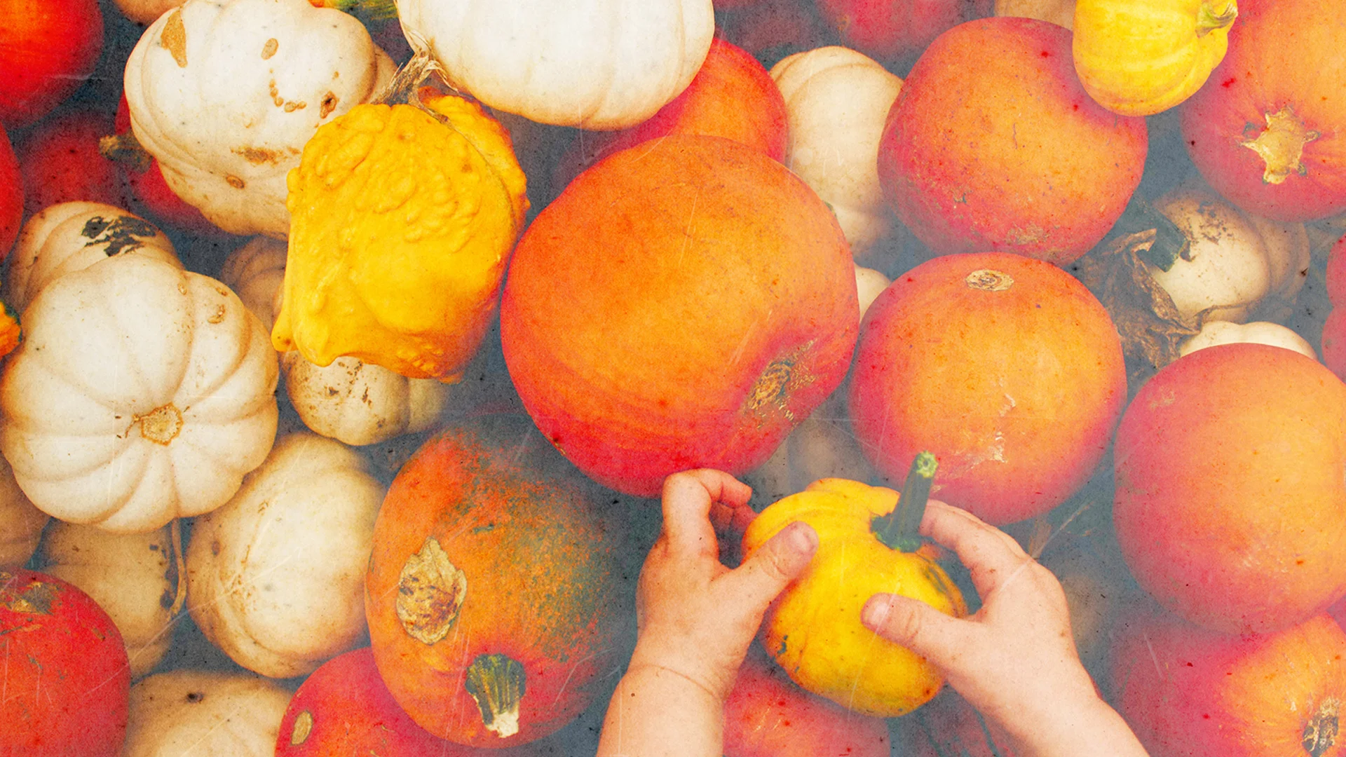 Pumpkins.jpg