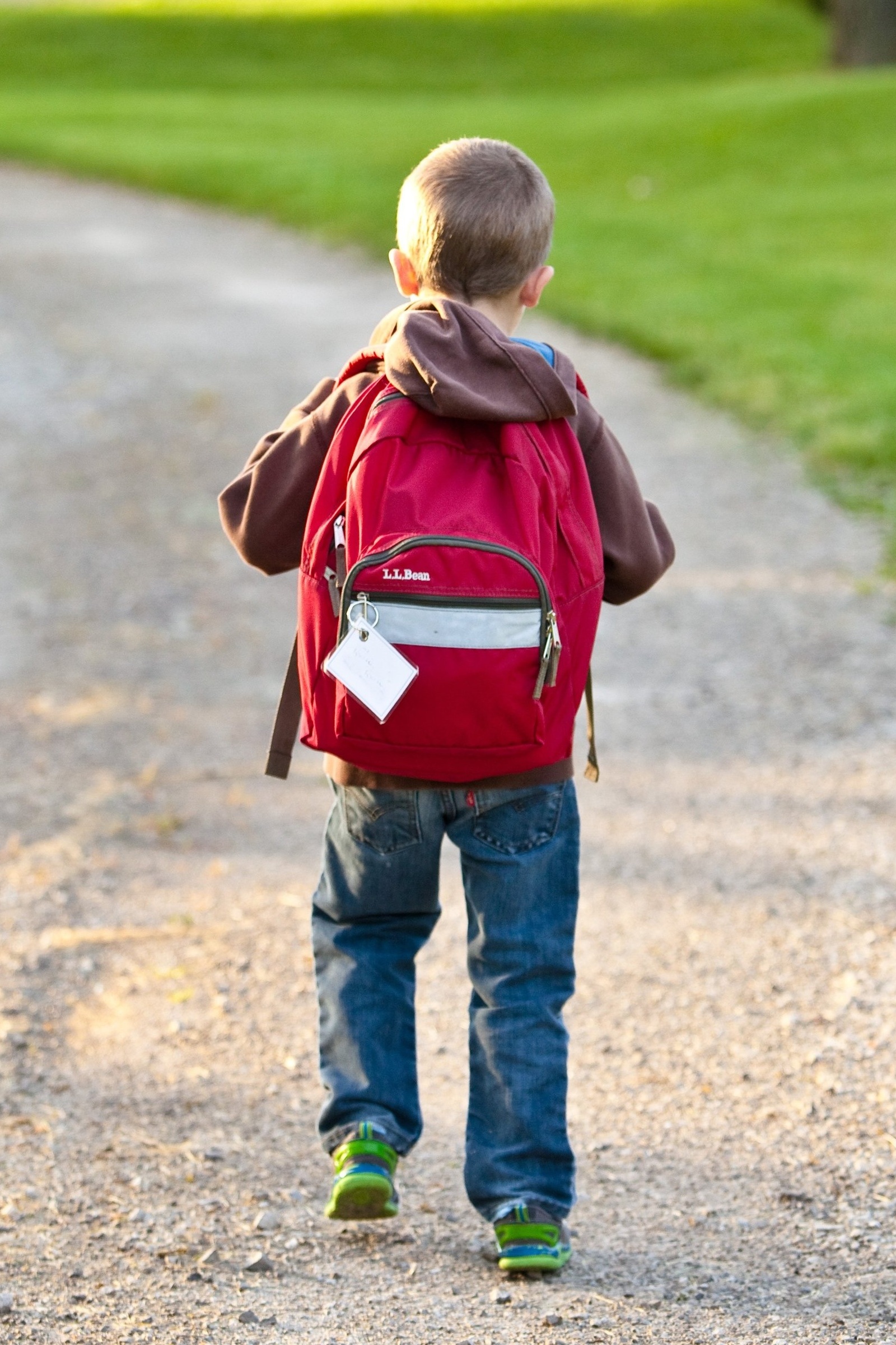 back-view-backpack-boy-207697.jpg