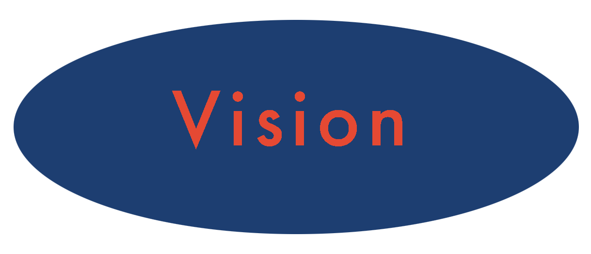 Vision
