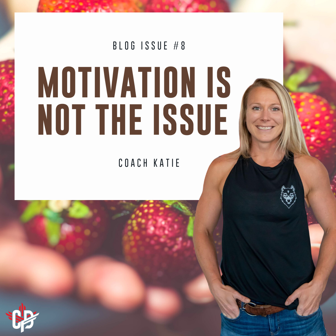 MOTIVATION IS NOT THE ISSUE