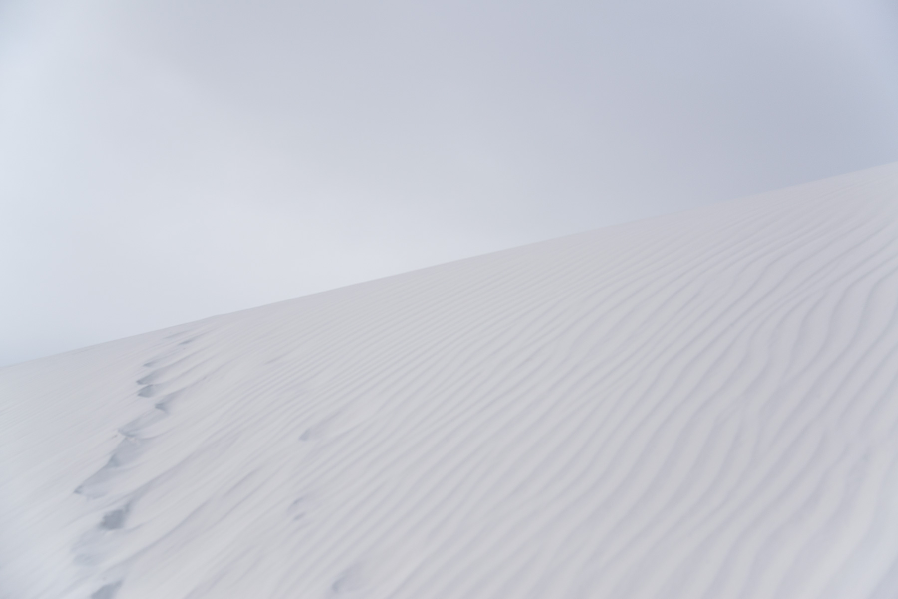 Neil-Brown-WhiteSands2-.jpg