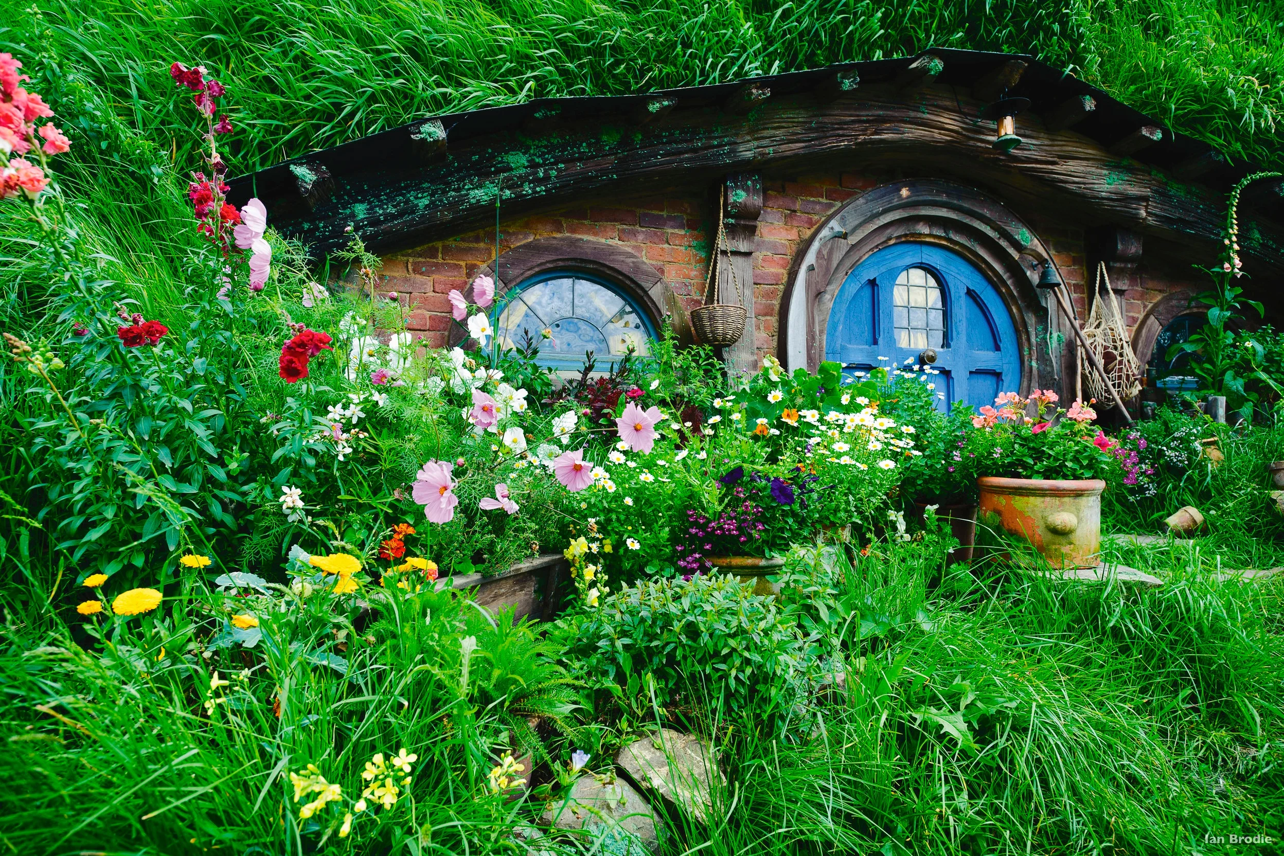 CU38-Hobbiton-Matamata--Waikato-Ian-Brodie.jpg