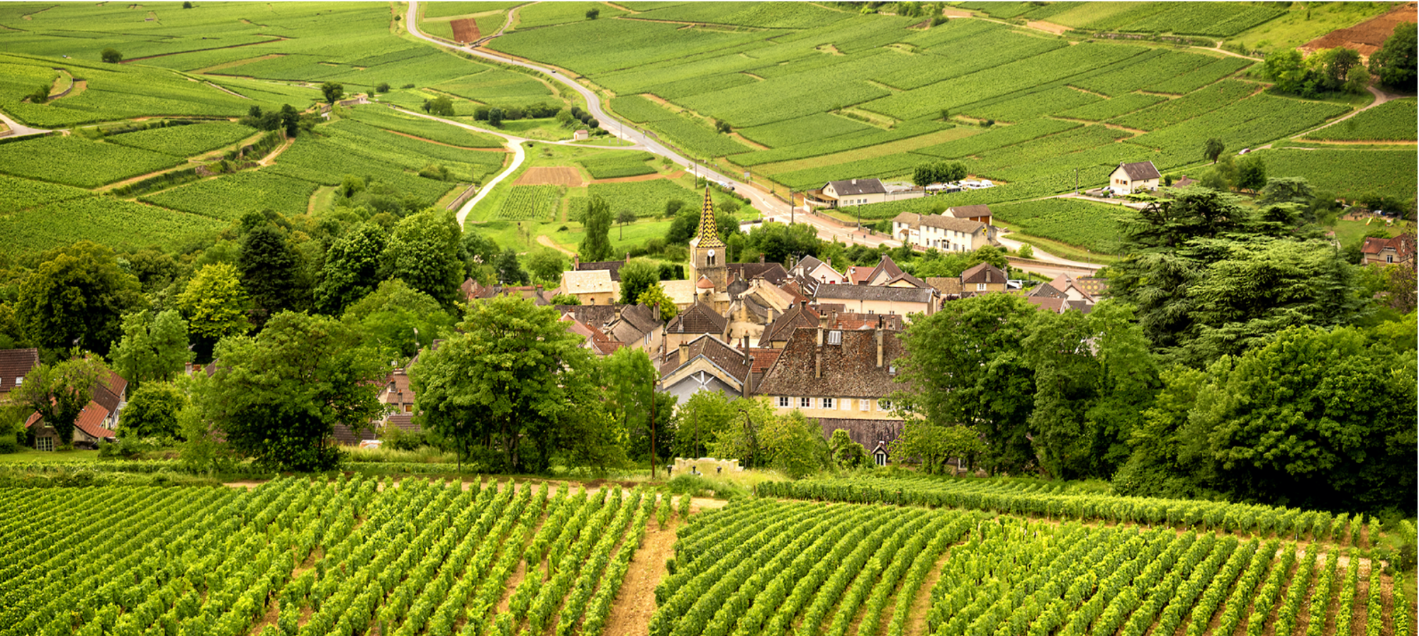 Burgundy's Famous Countryside