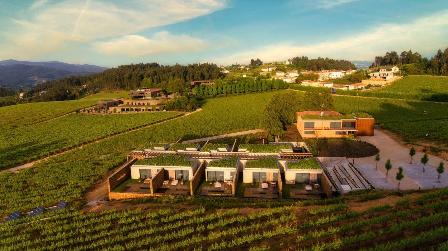 Have you ever wondered which European wine destination still feels authentic, uncrowded, and deeply rooted in tradition? 🍷

Local wine educator, Erin Palmer, invites you to discover Portugal beyond the bottle this October! Ancient vineyards, regiona