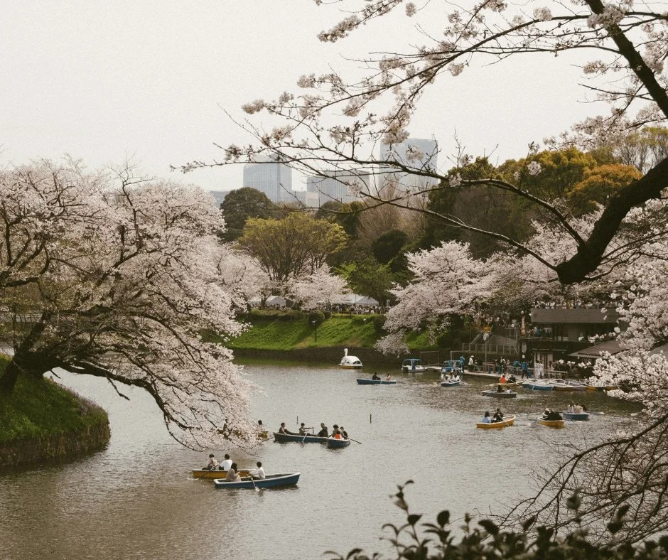Curious what makes Japan so special (or wondering when the best time to go is)? 

Japan is a destination growing in popularity (for good reason!). Whether you&rsquo;re seeking history, natural beauty, food adventures, or family fun, Japan might be ju