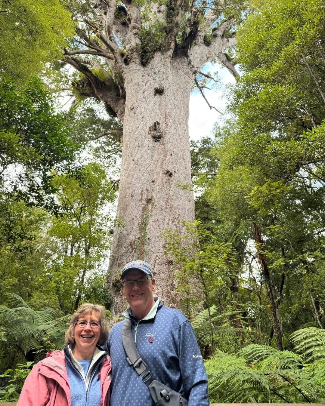 Only in Auckland can you go from skyline views to rainforest to black sand beaches in a few hours 🌿✨

Exploring the best of both worlds in Auckland with @bushandbeachnz. A tour where the &ldquo;City of Sails&rdquo; meets lush rainforest and rugged b