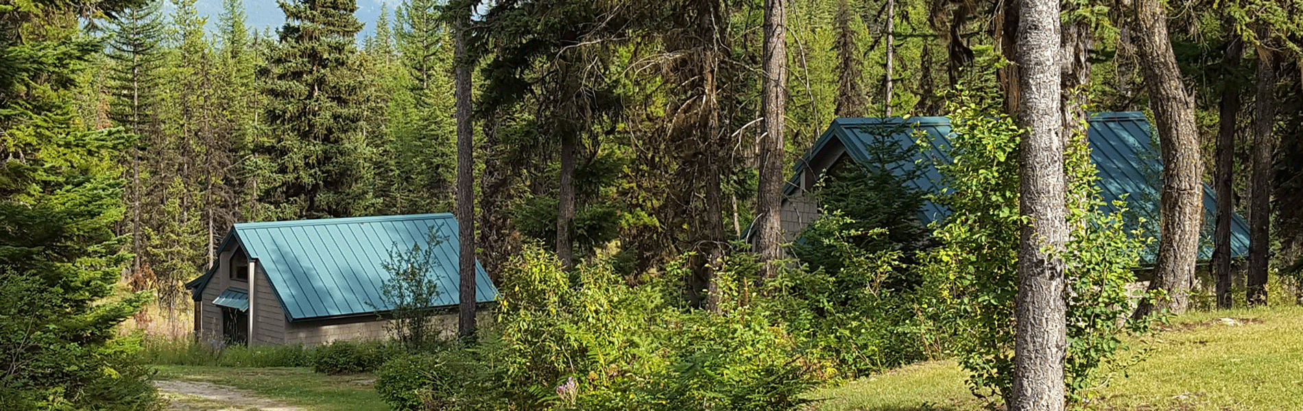 Cabins-in-Trees-1900-x-600-WEB.gif