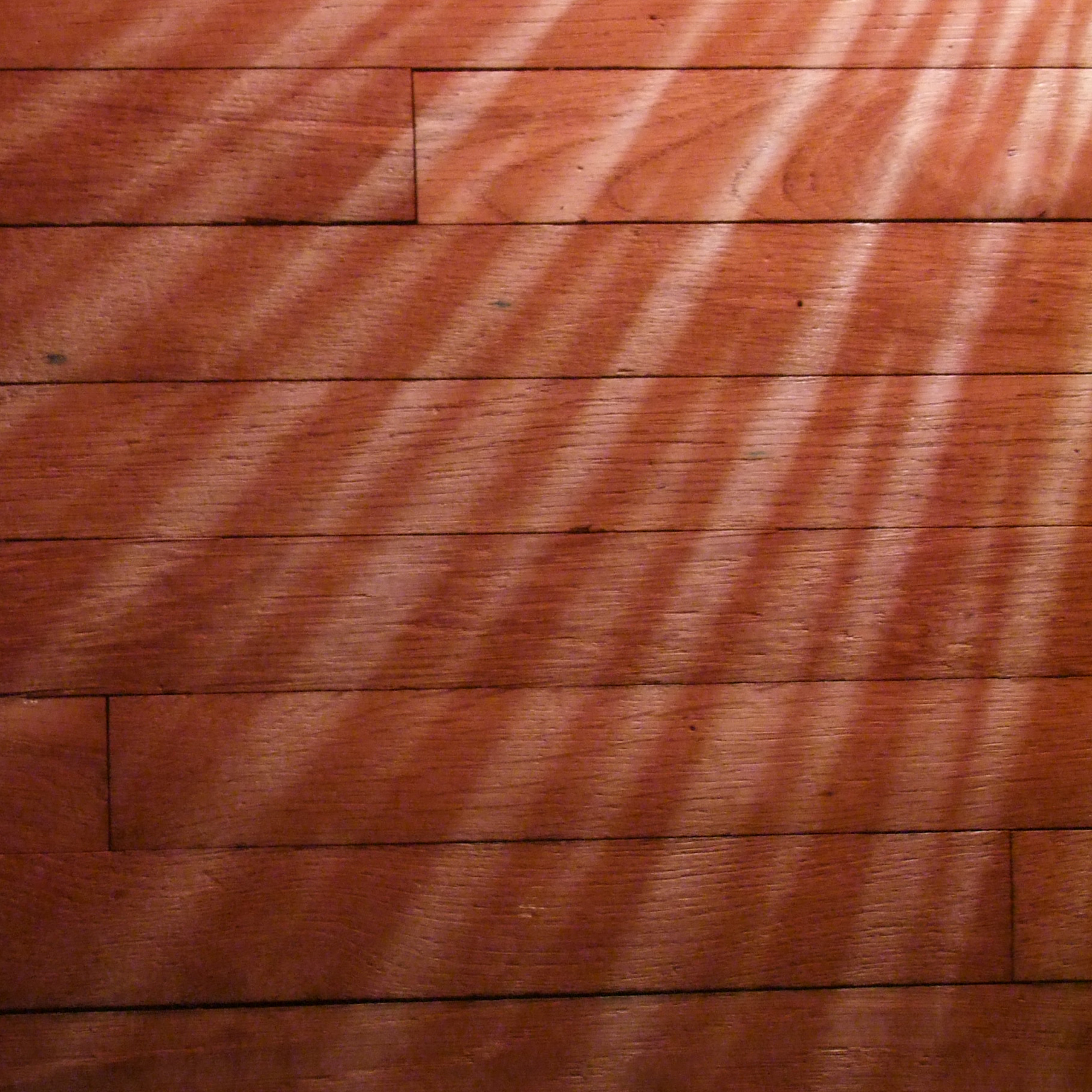 Floor Square.jpg