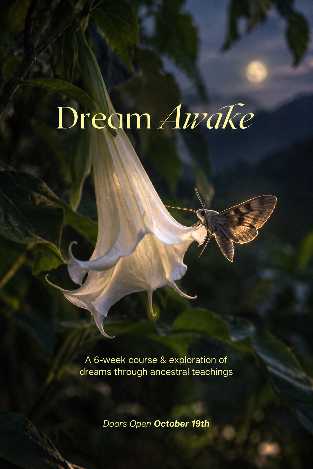 Dream Awake