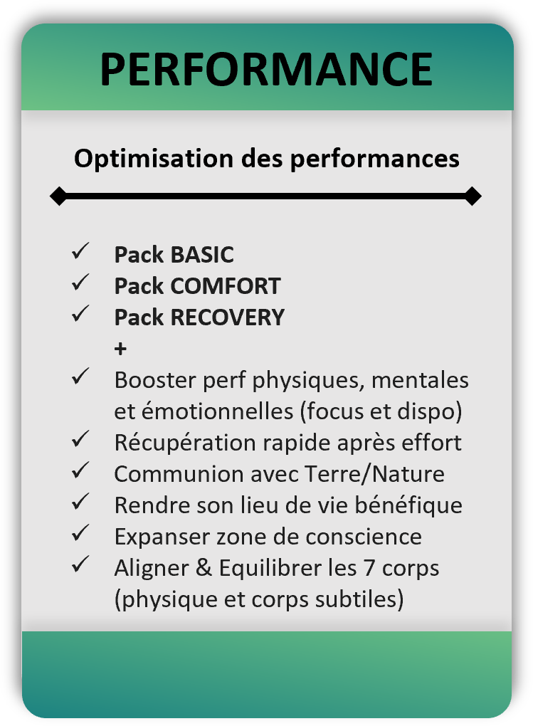 1.4 Desc PERFORMANCE.png