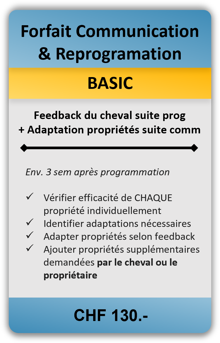 2.1 Forfait Reprog BASIC.png