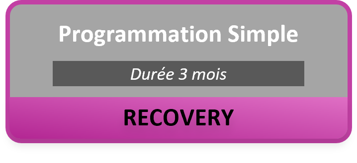 2.3 RECOVERY Prog.png