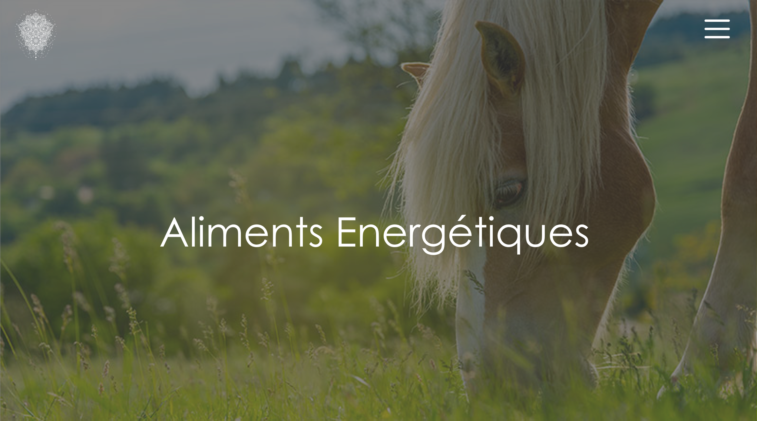 Prog Aliments Energetiques.png