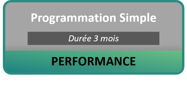 2.4 PERF Prog.png