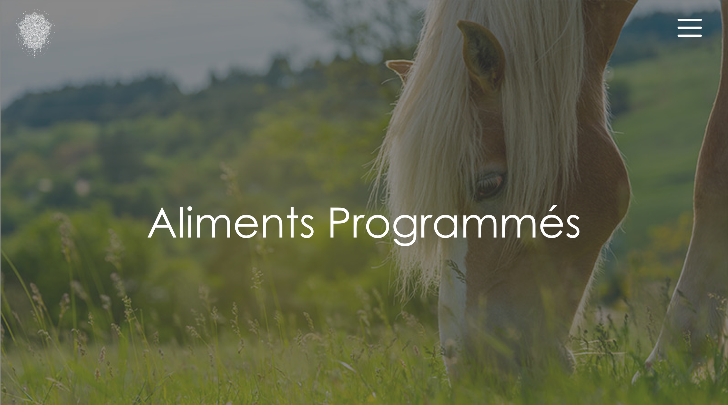 Prog Aliments Programmés.png