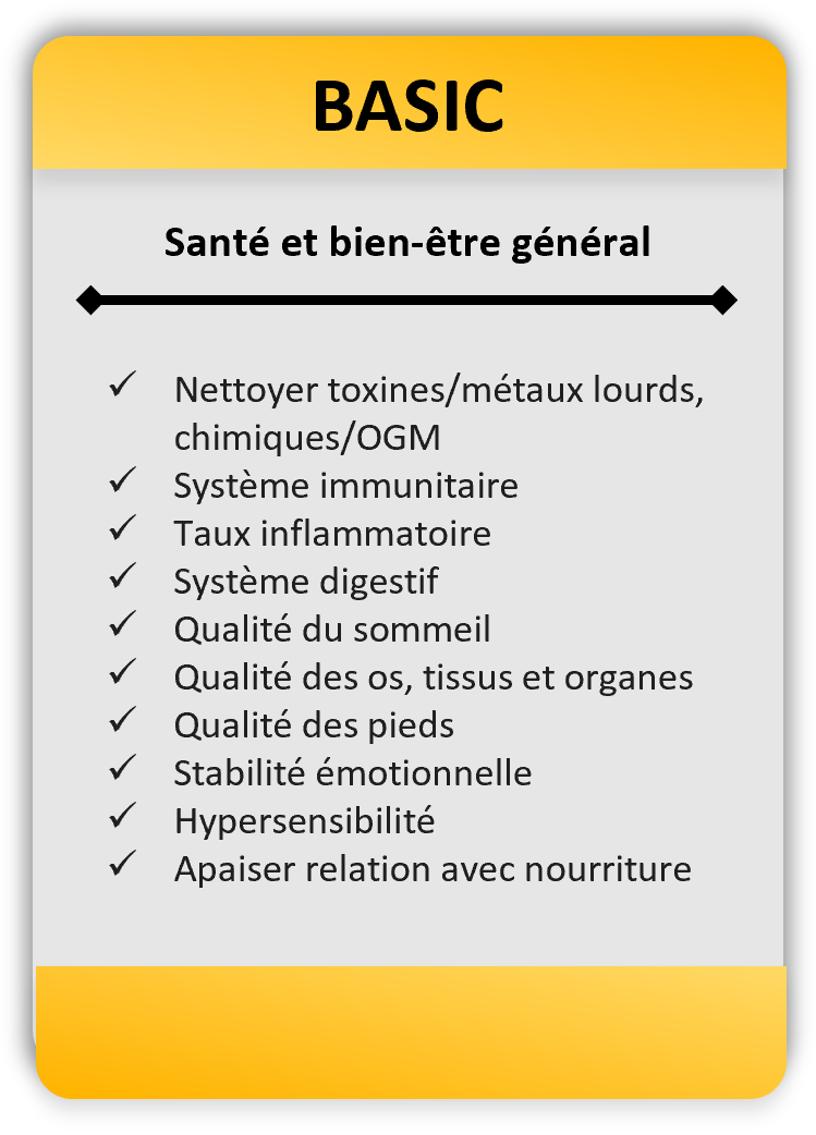 1.1 Desc BASIC.png