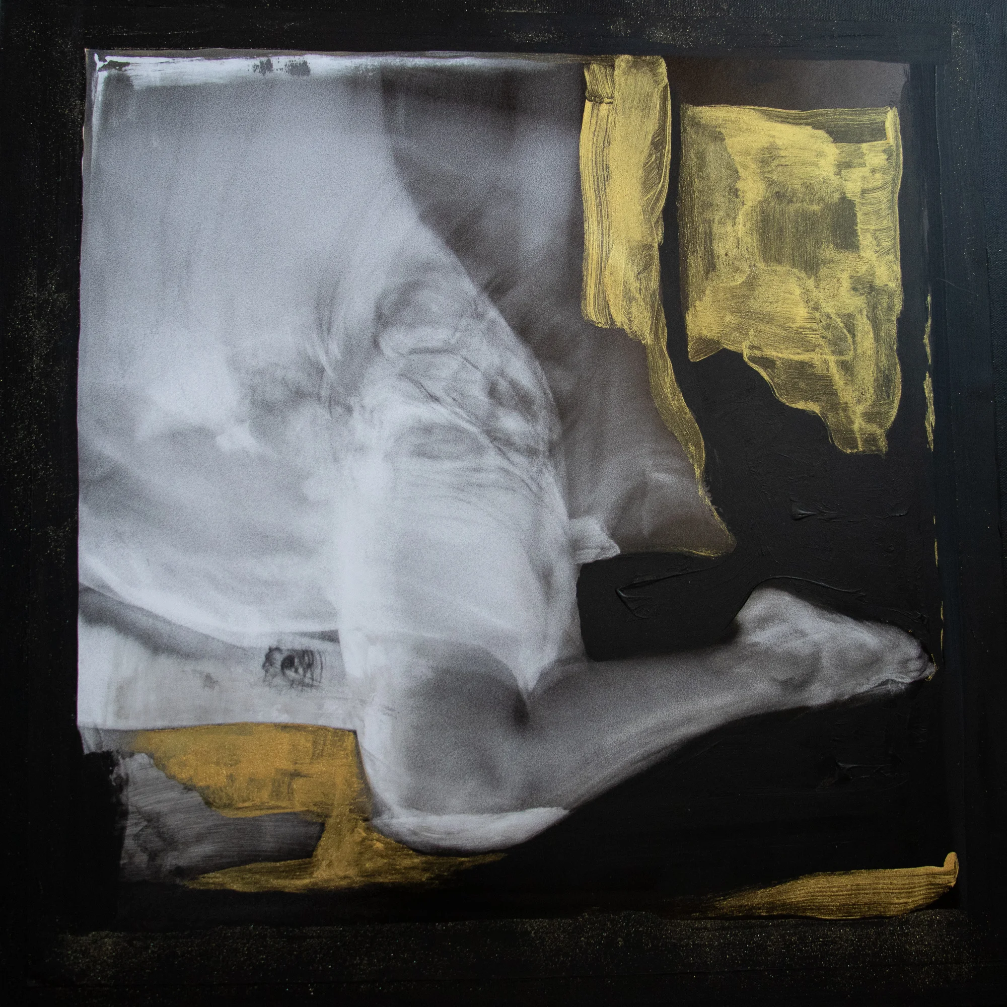   Grounded   Mixed Media and Digital Print on canvas  22”x22” 