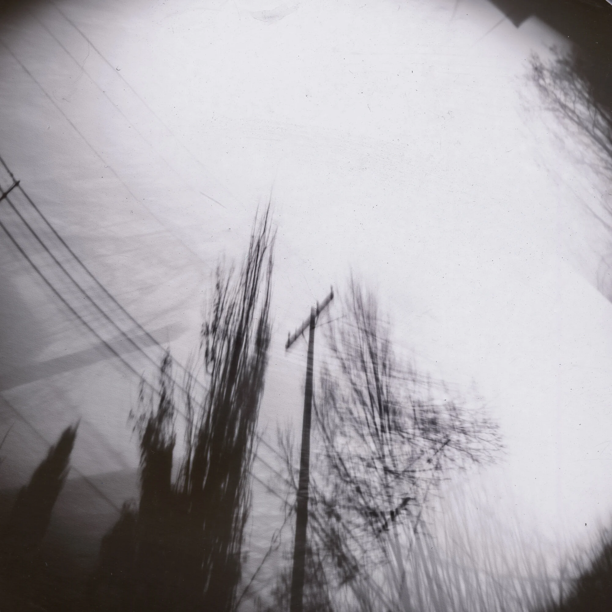 Backlane Canora 2019