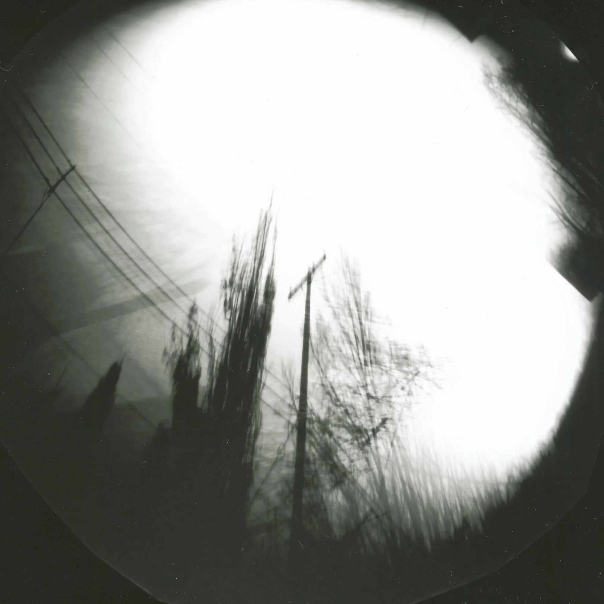 Backlane Canora 2019