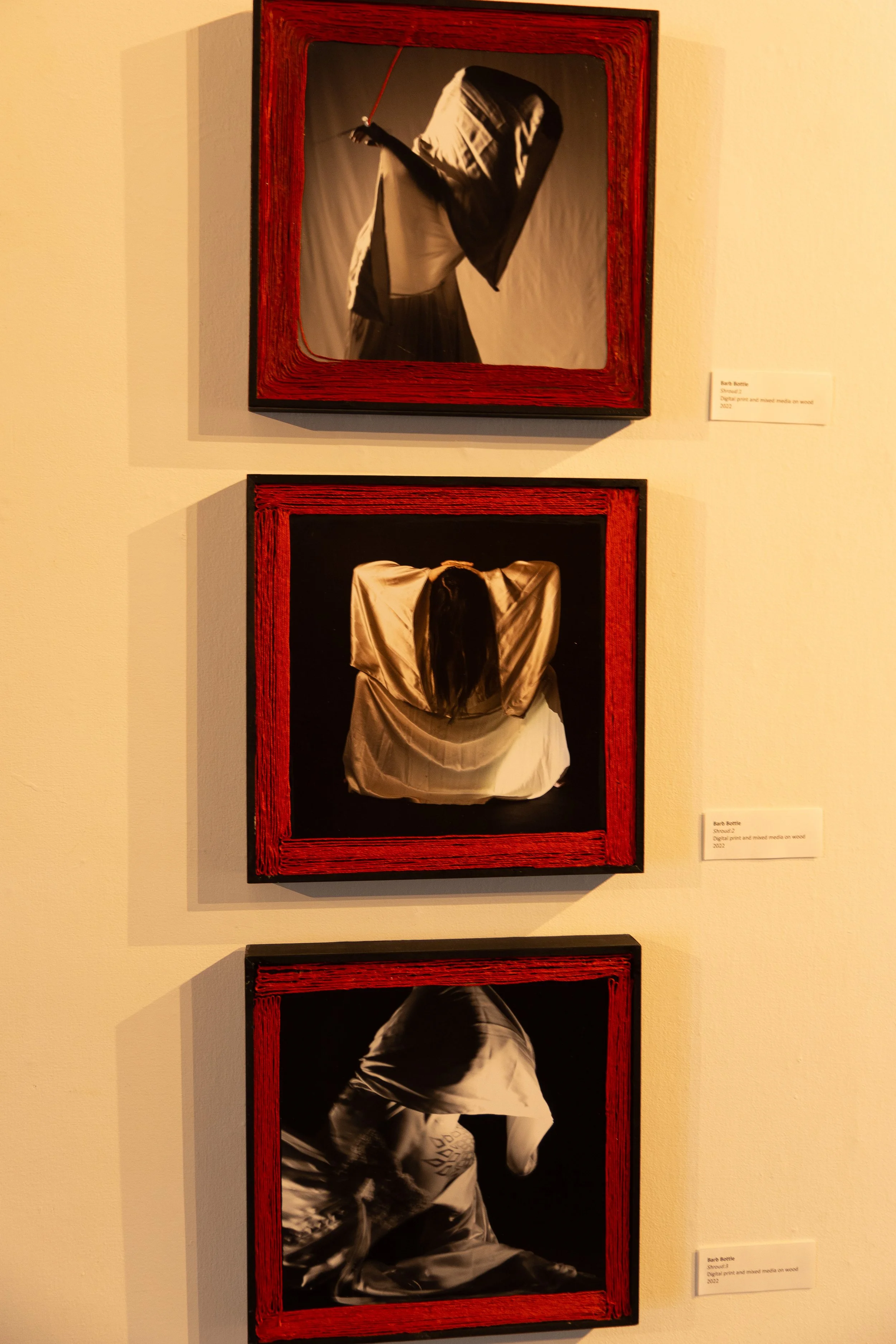 Shroud 1-3 ( installation shot ) 2022
