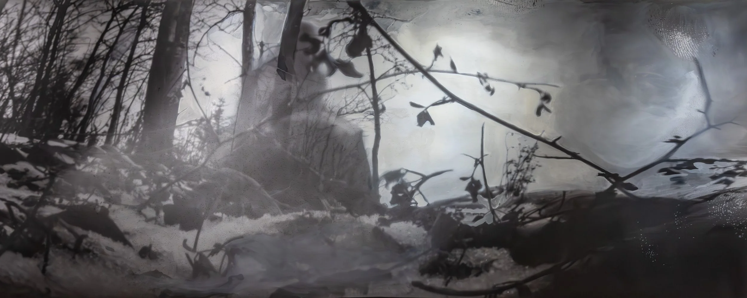 Hidden Figure- Pinhole camera print and paint on canvas 4x10' 2022