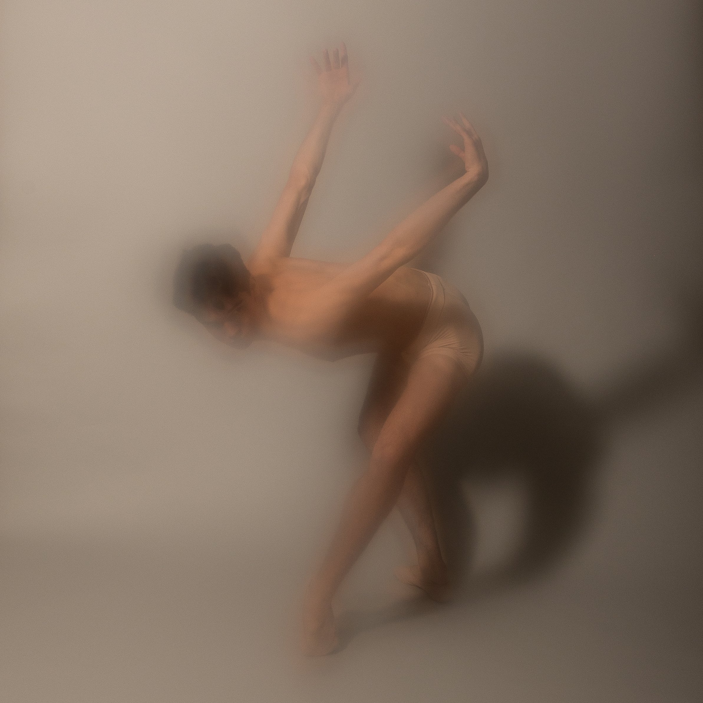 5T6A1051.jpg