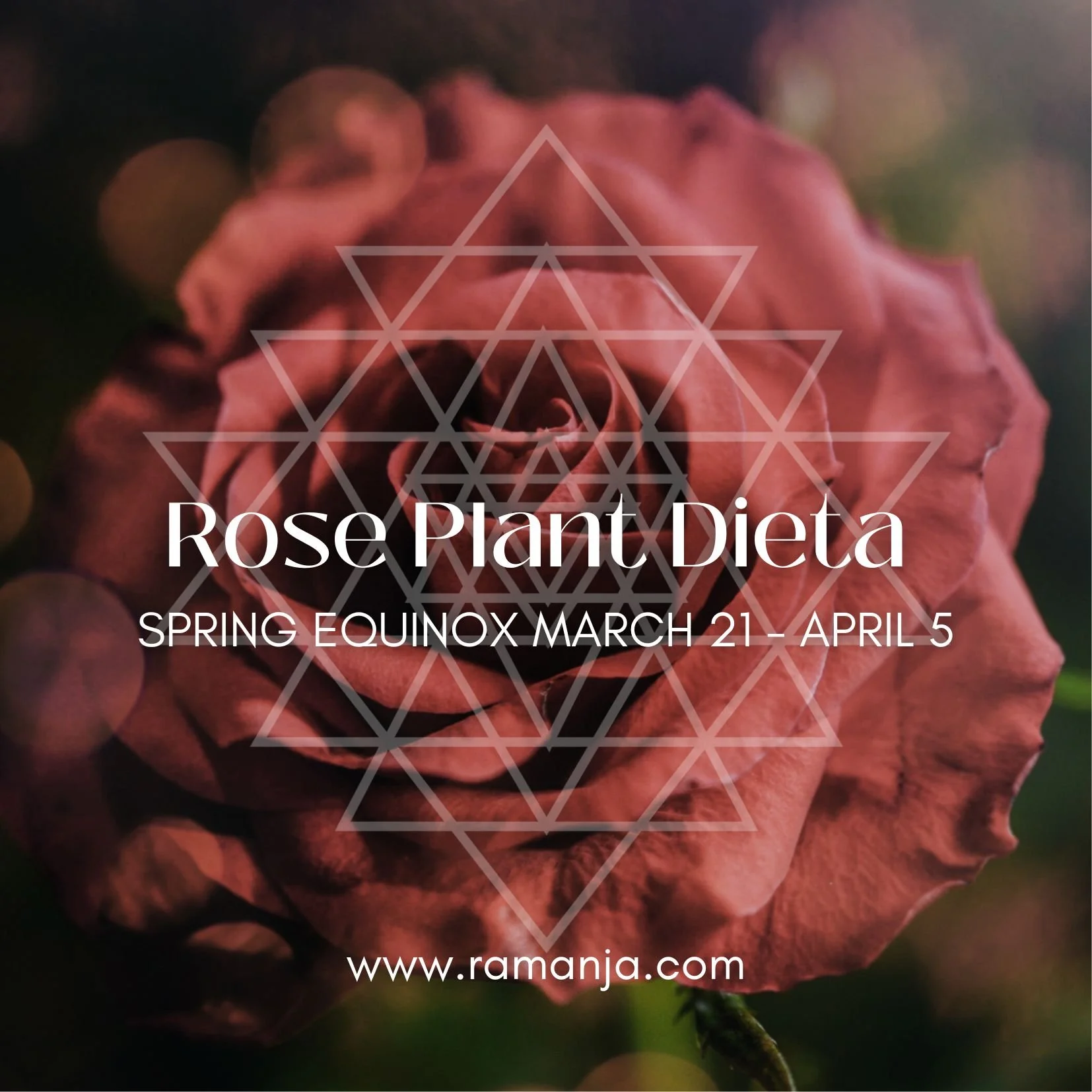 Rose Plant Dieta - Online 