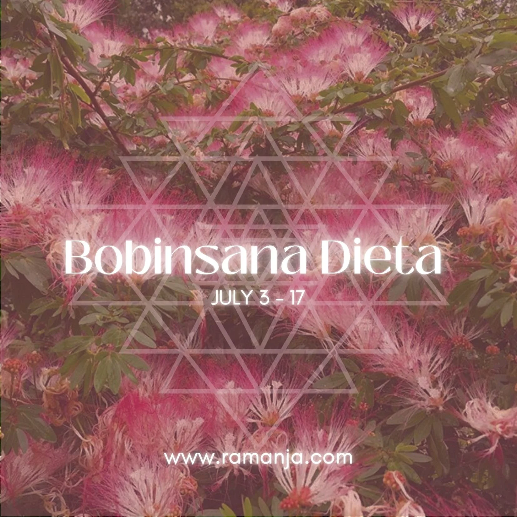 Bobinsana Plant Dieta - Online