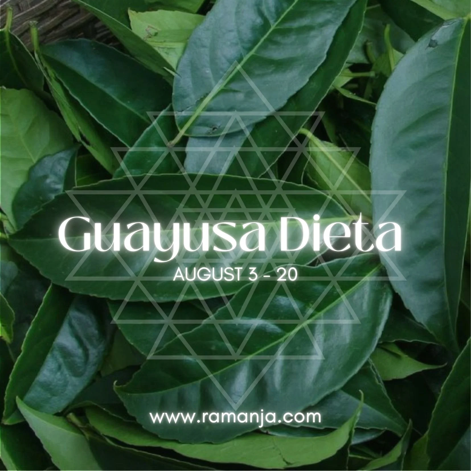 Guayusa Plant Dieta - online