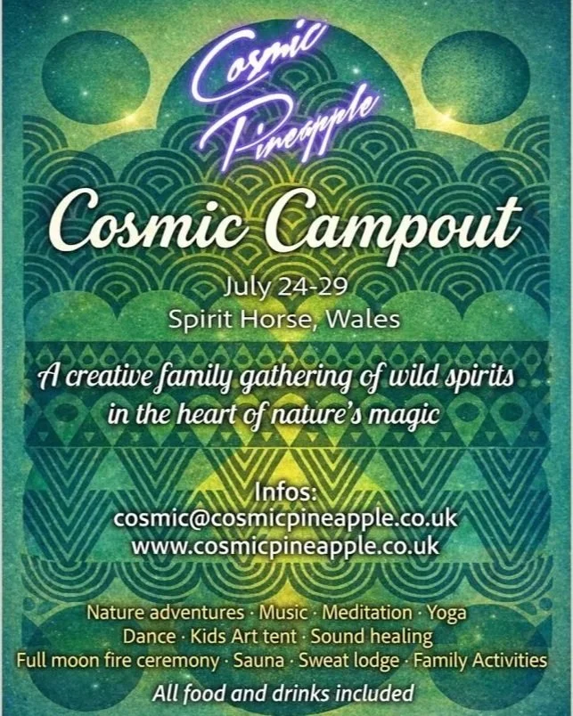 Cosmic Pineapple / Cosmic Campout : Festival in Wales