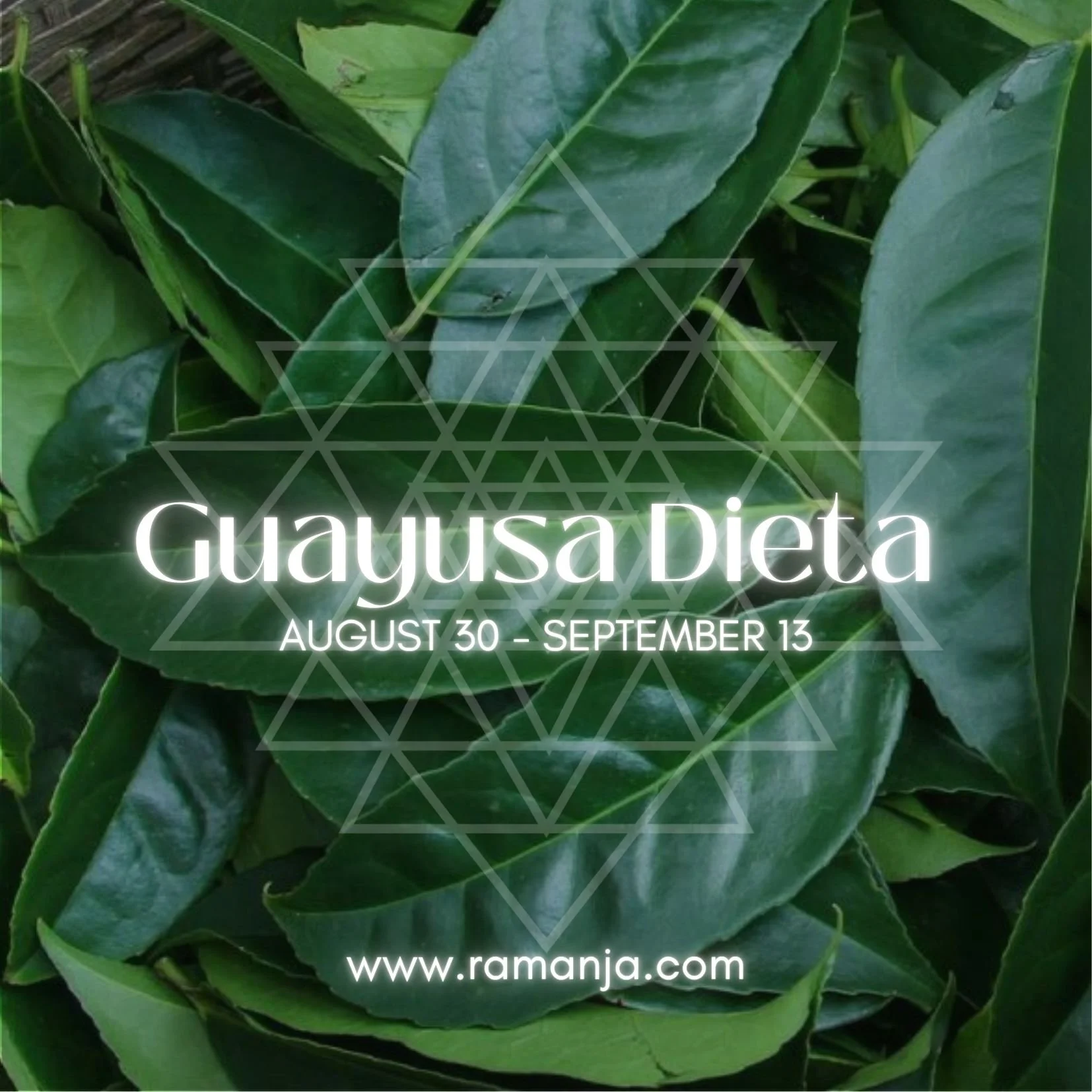 Guayusa Plant Dieta - online
