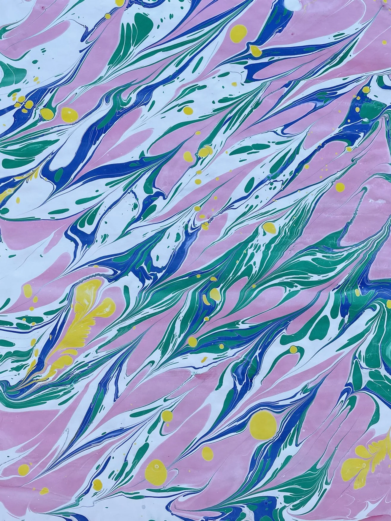 PINK_FEATHERS.jpeg