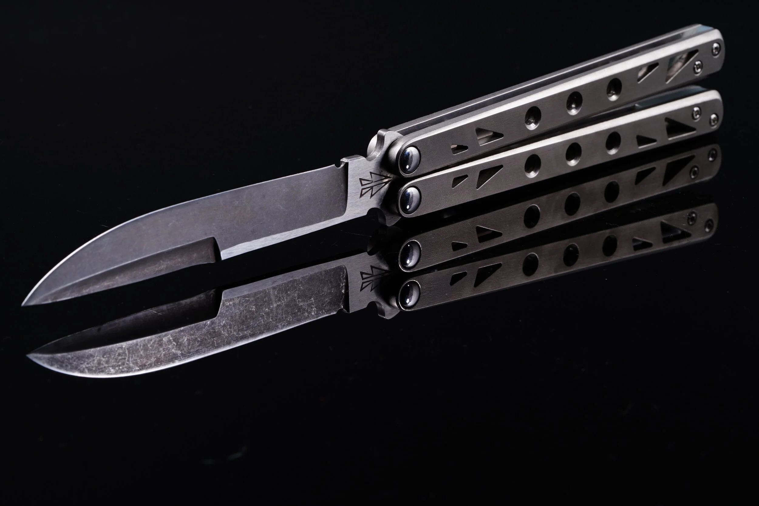 Planarian Prototype No. 1