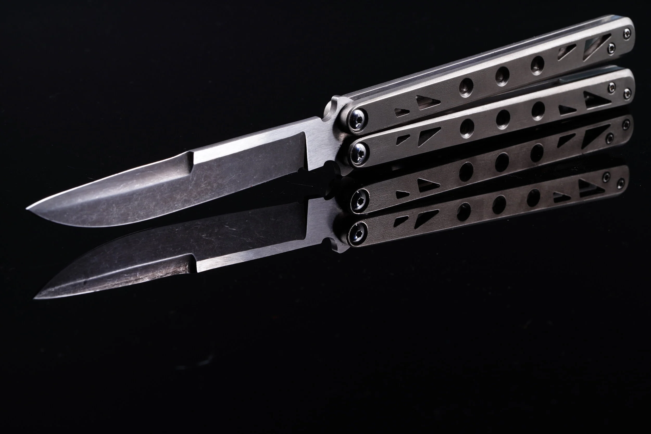 Planarian Prototype No. 1