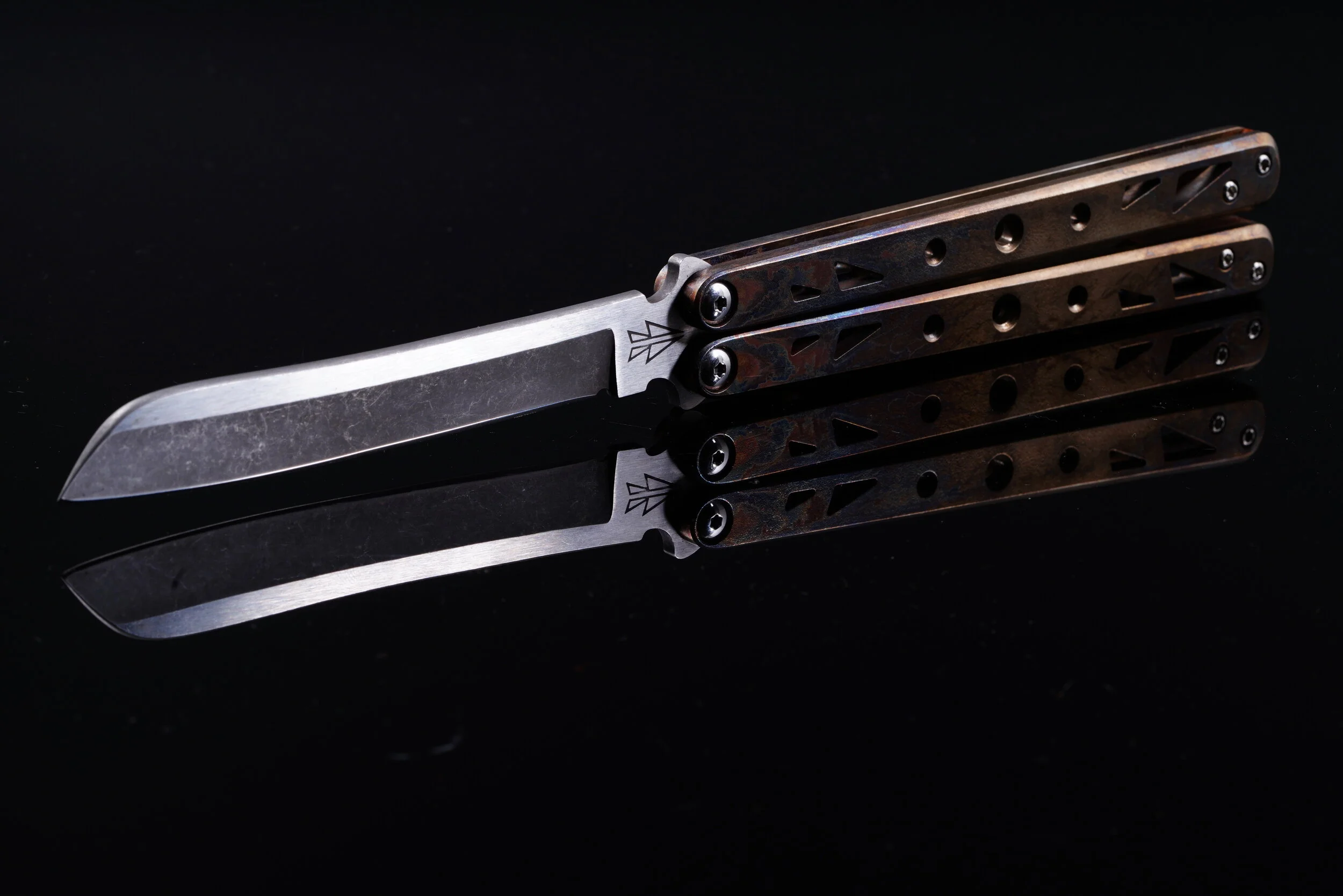 Planarian Prototype No. 2