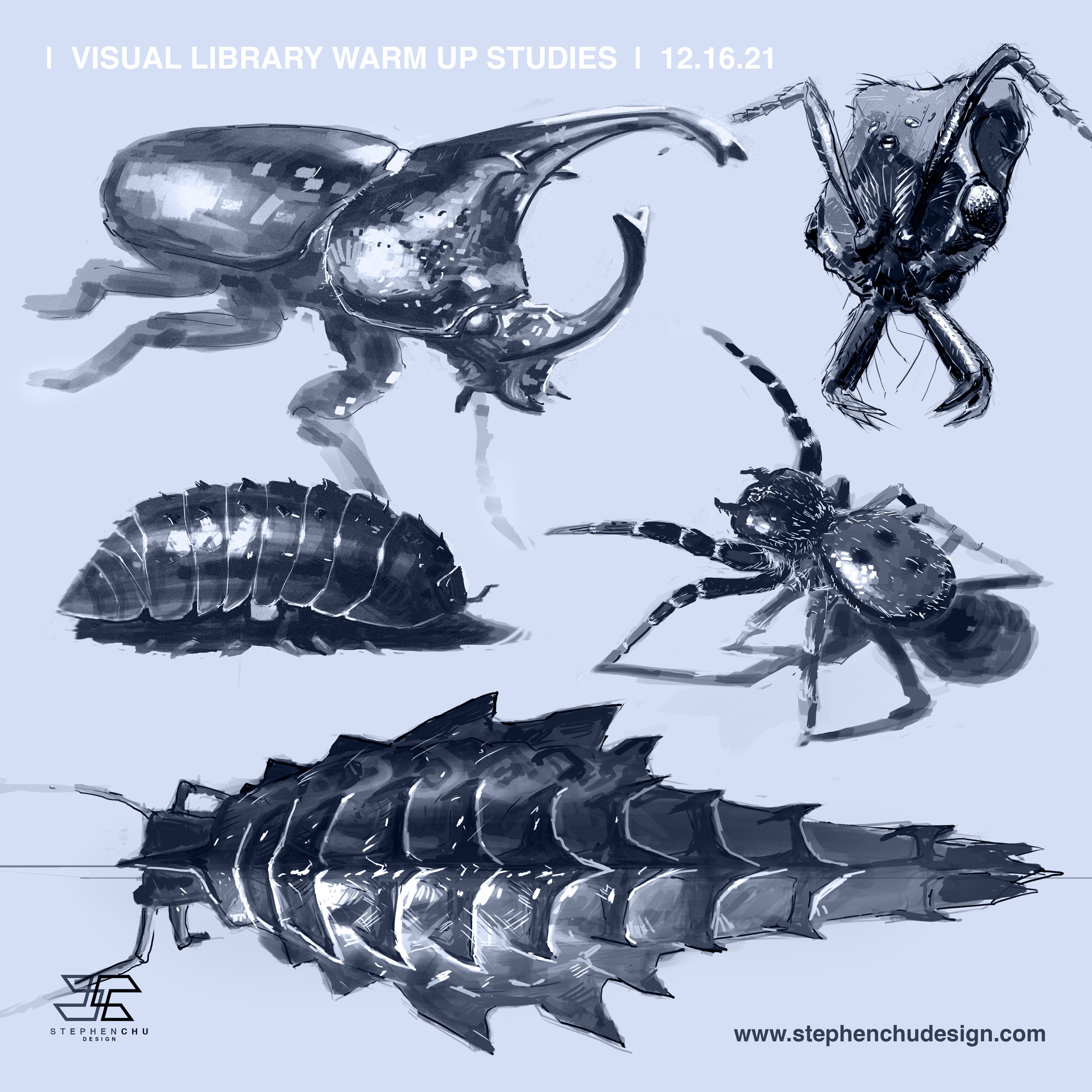 Sketchstudies_warmups_insects_01.jpg