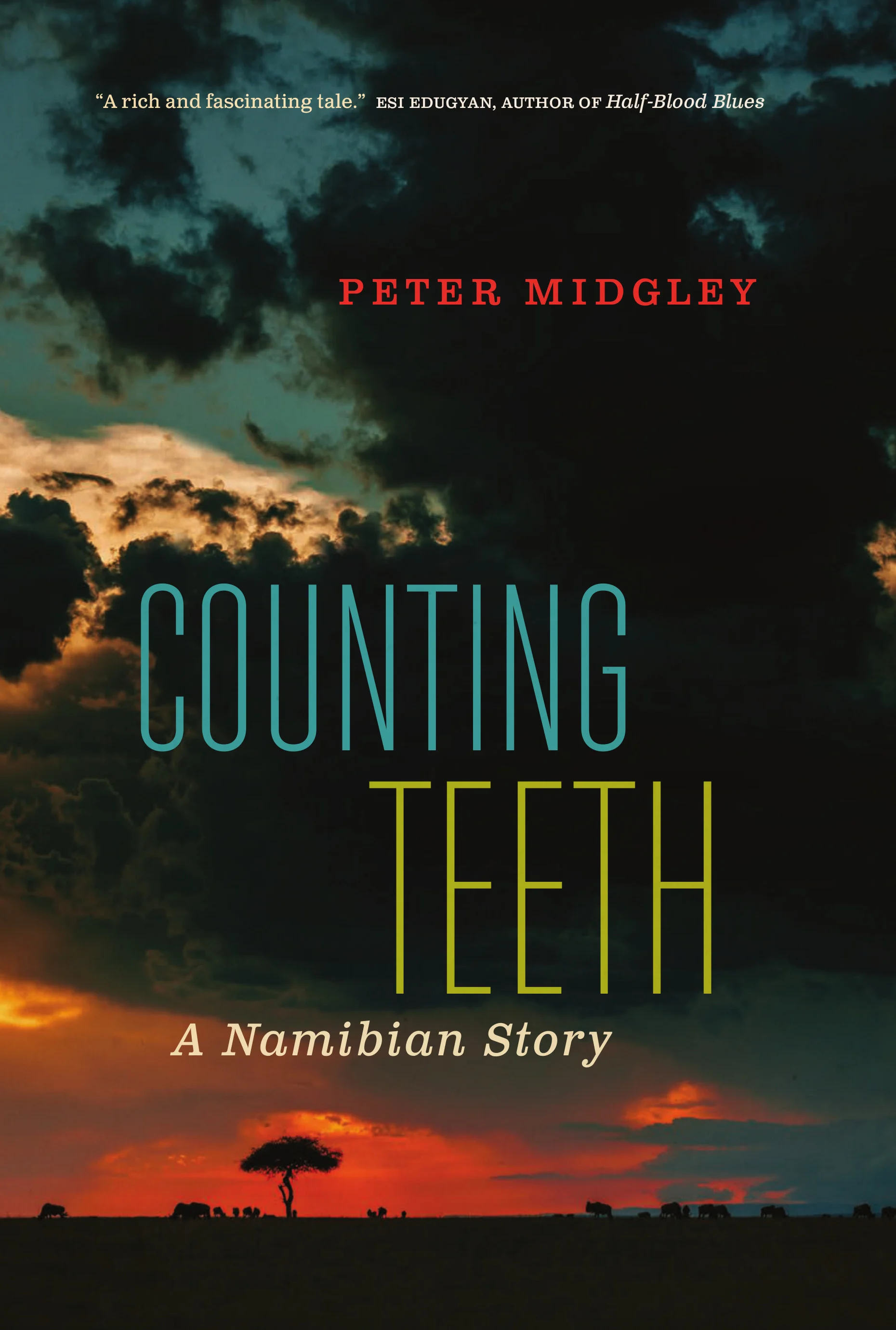 Counting Teeth.jpg