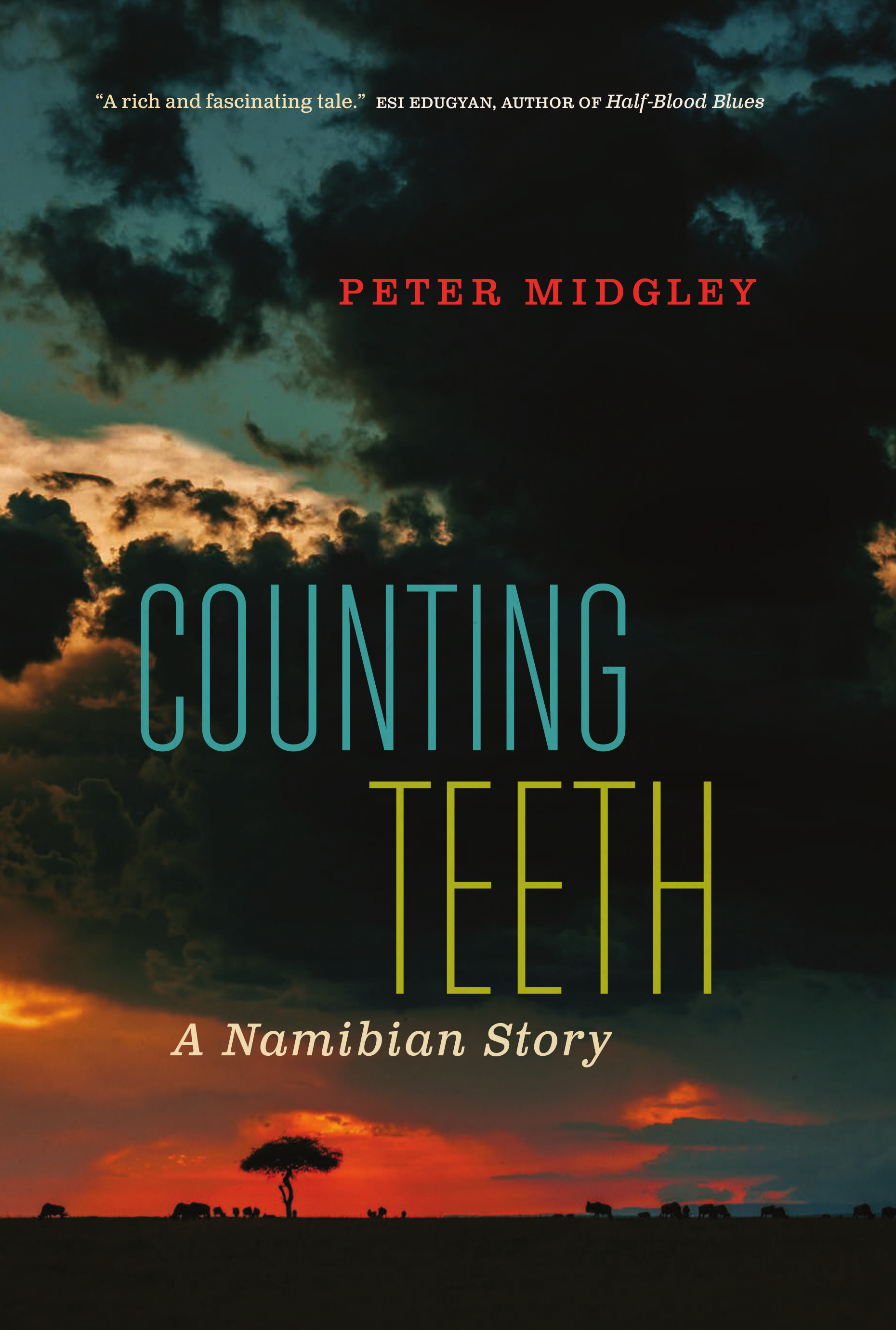 Counting Teeth.jpg