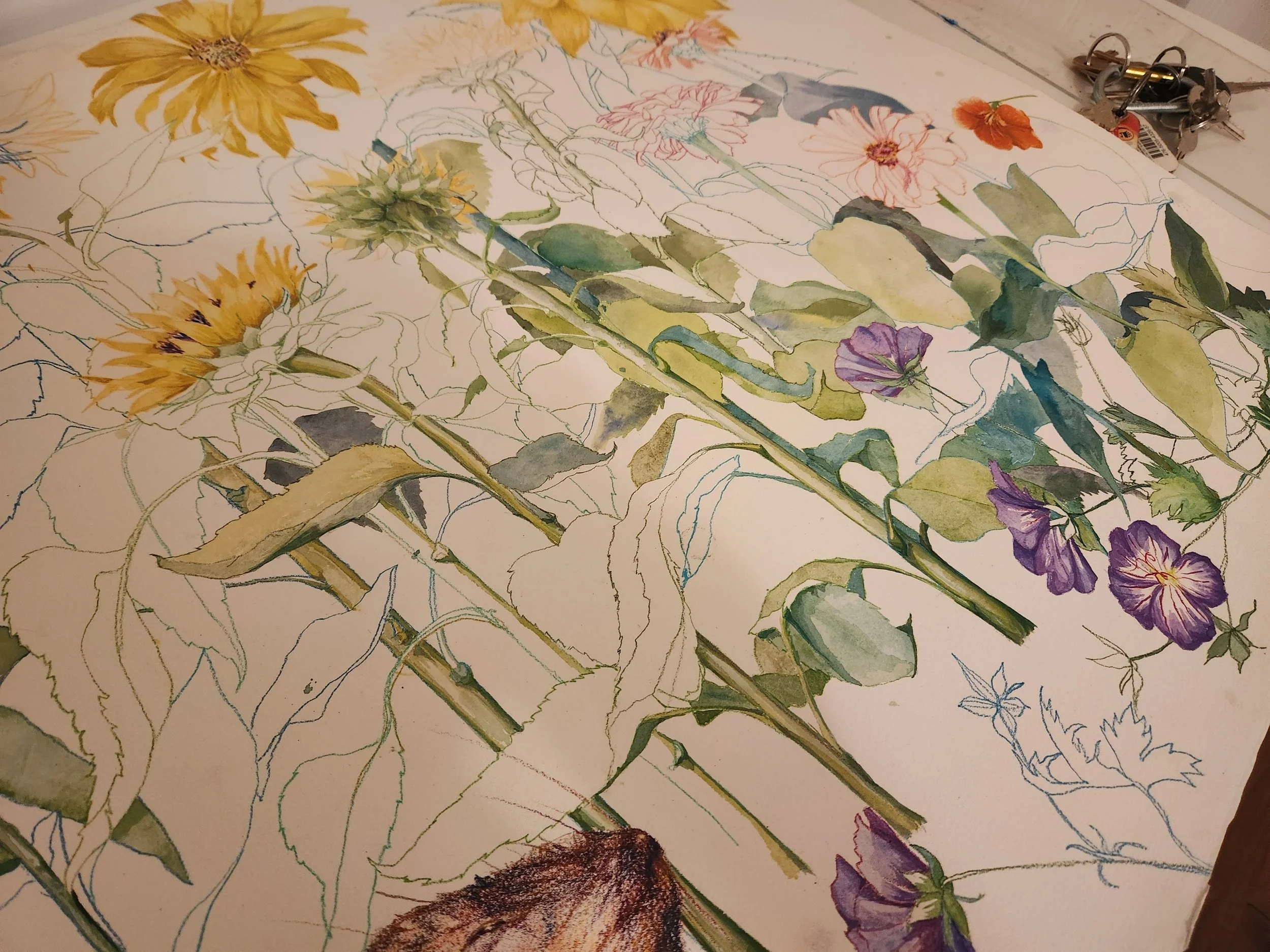 Summer Vacation Spent Painting and Drawing from Life